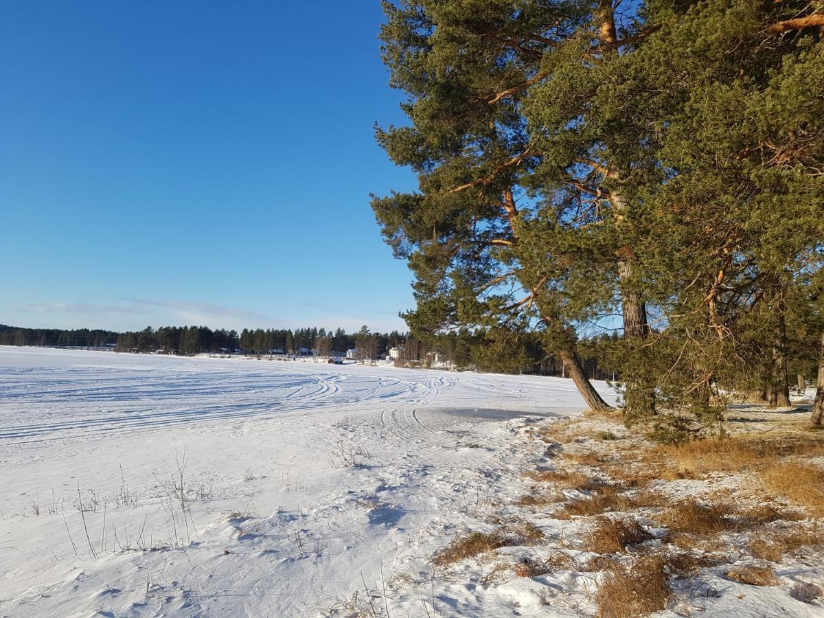 Furudals Vandrarhem Och Sjoecamping Exterior photo